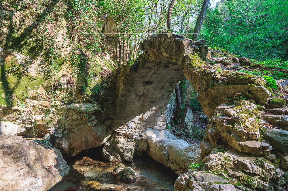 Erli - Savona, Liguria