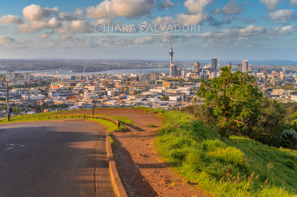 Auckland from Mt. Eden