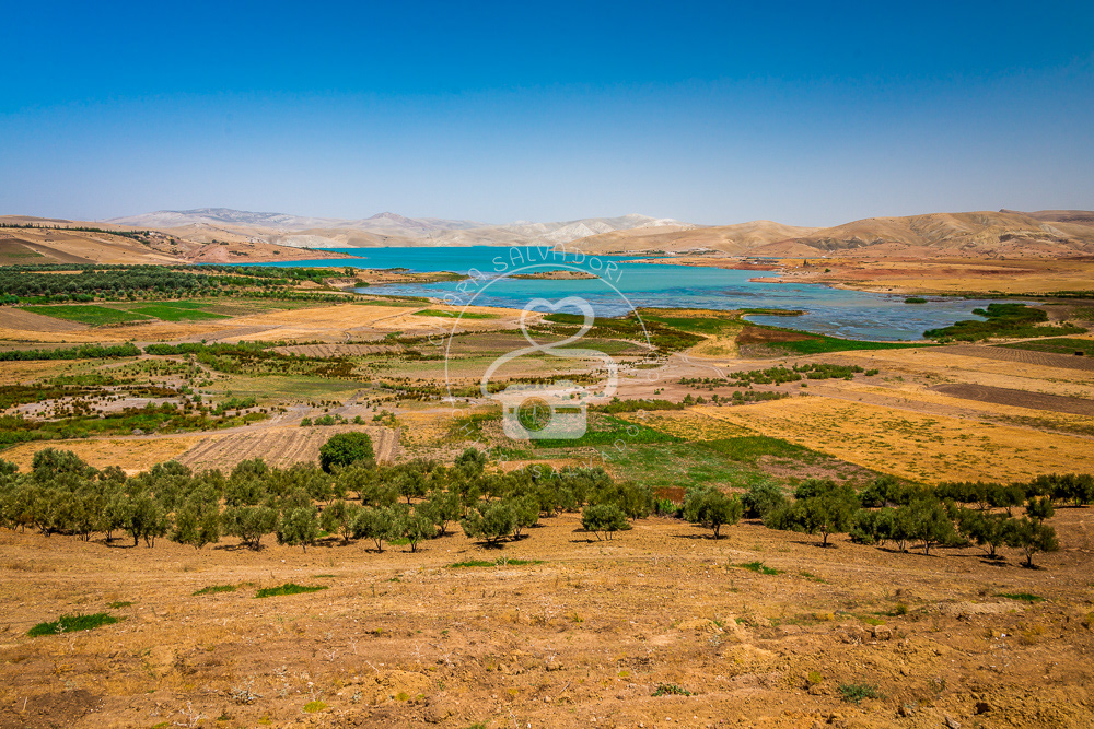 Shahid Lake