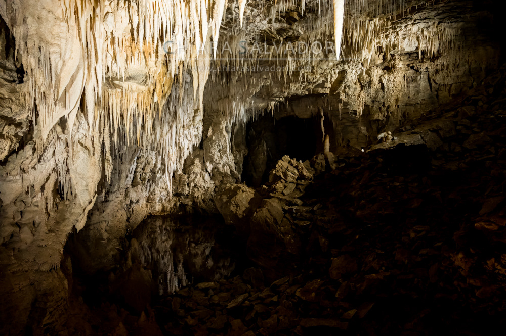 Ruakuri Cave