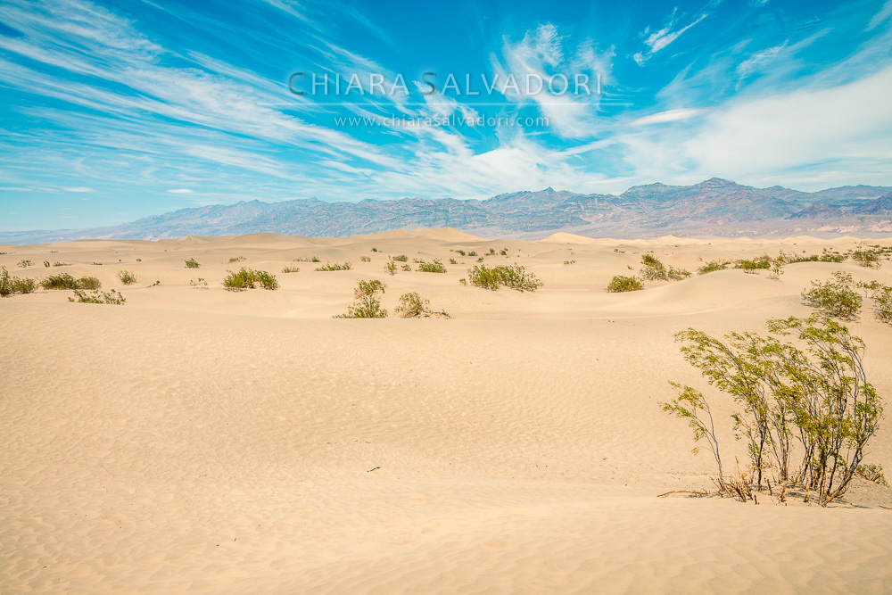Death Valley National Park
