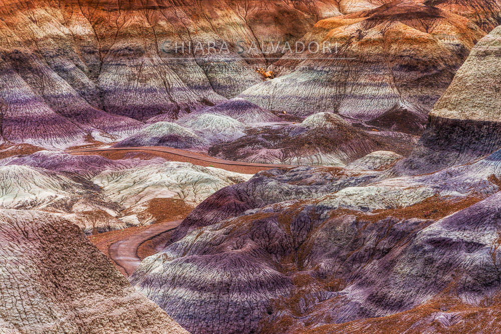 Blue Mesa, Petrified Forest National Park