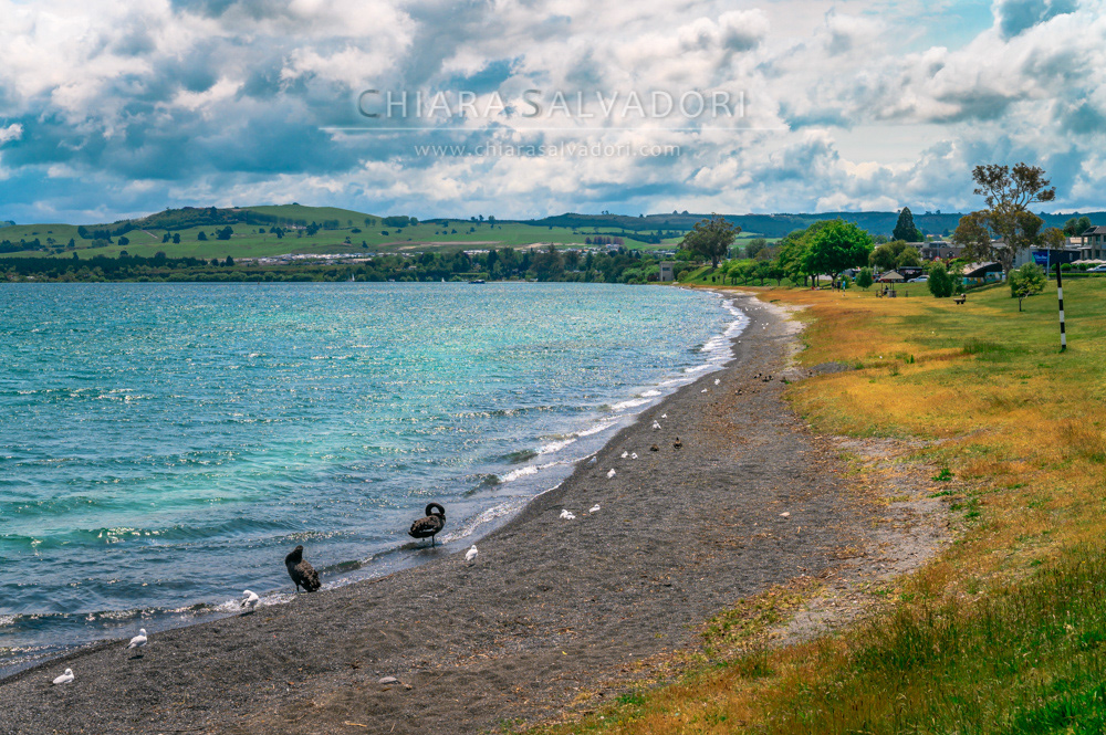 Taupo Lake