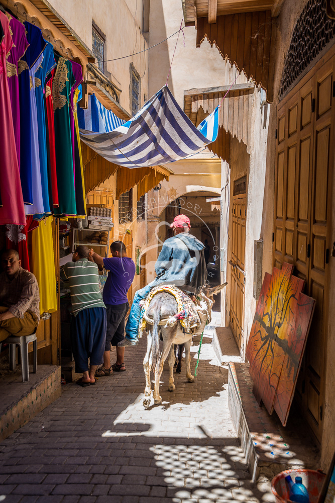 Fes el-Bali