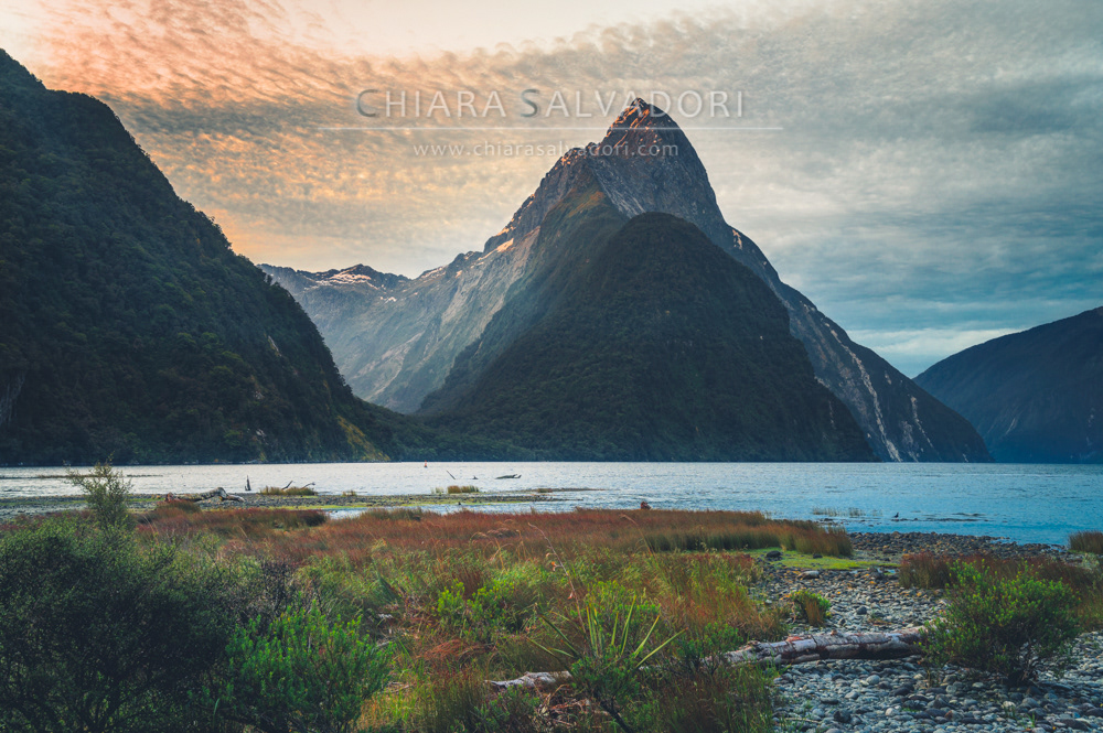 Milford Sound