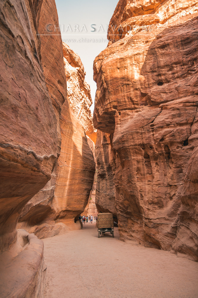 Petra Canyon