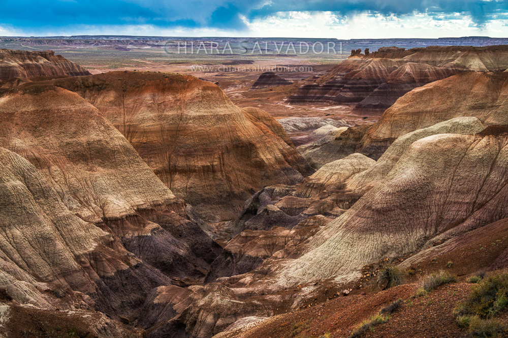 Blue Mesa, Petrified Forest National Park