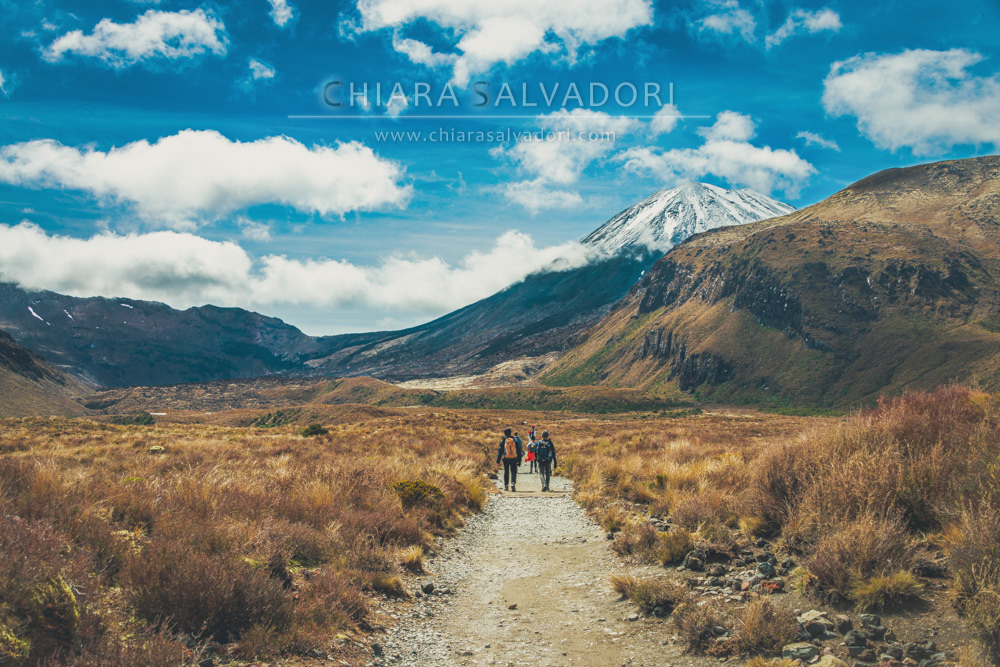 Tongariro National Park