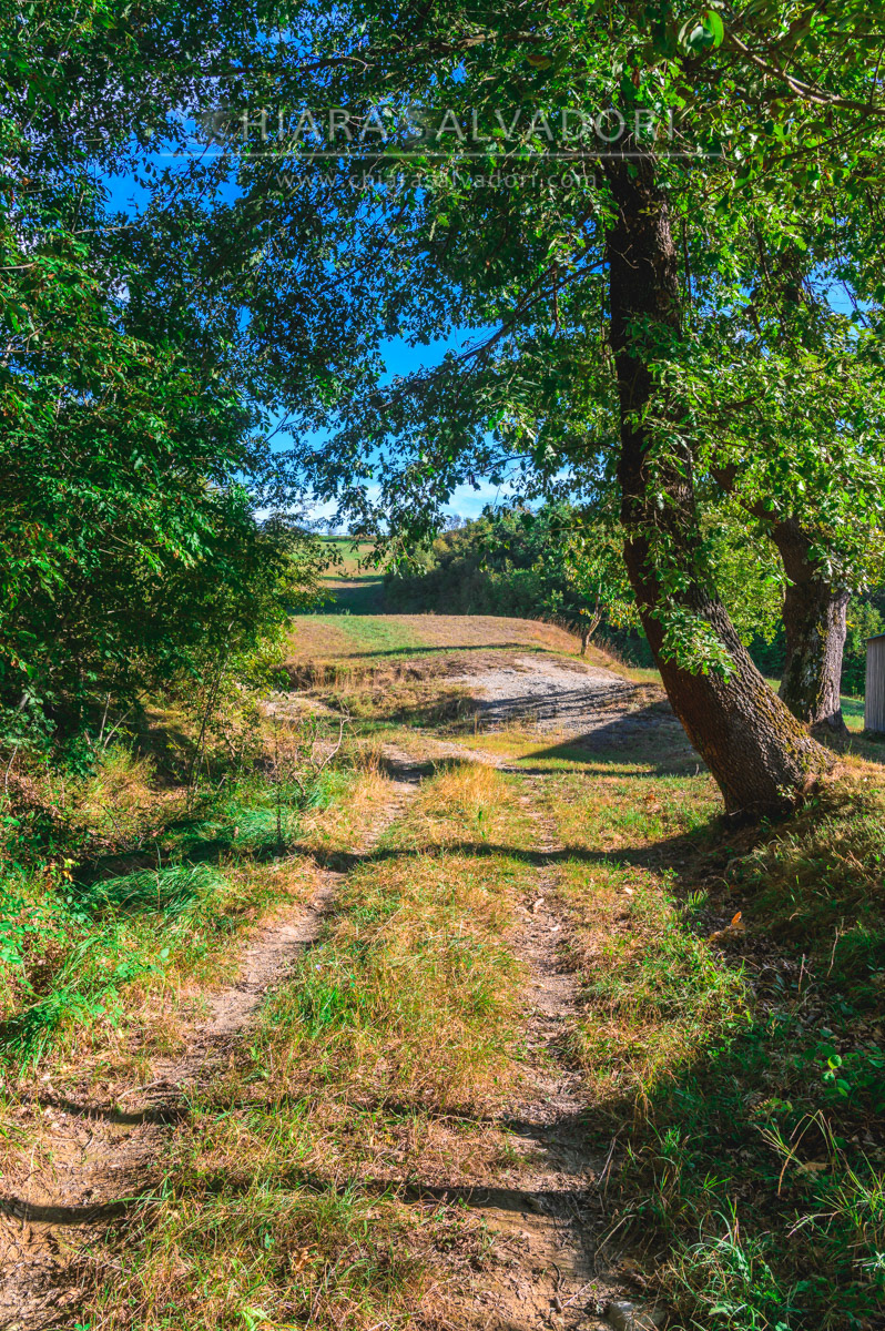 Bric Tana Regional Park