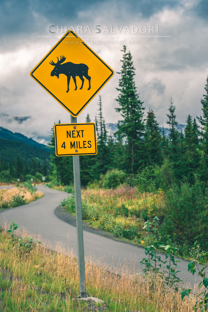 Alyeska Road