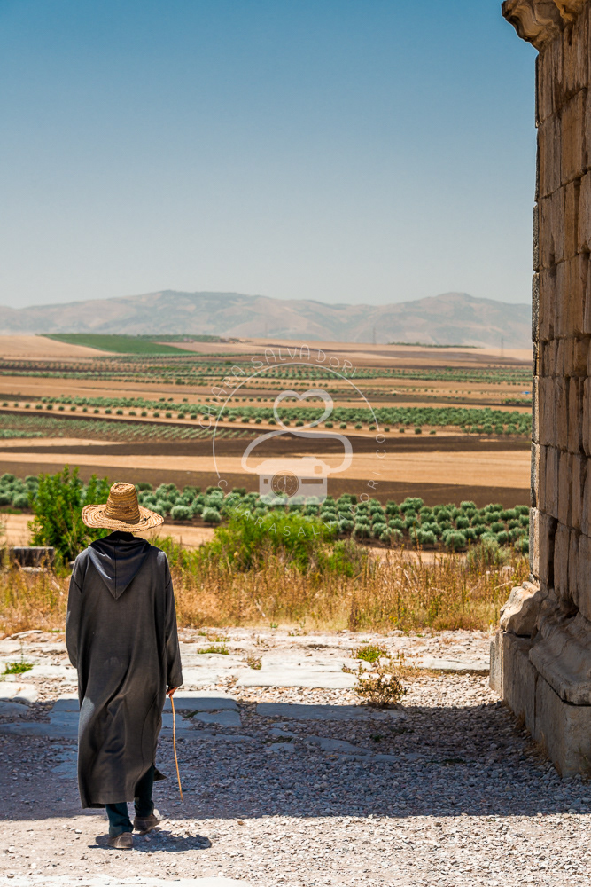 Volubilis