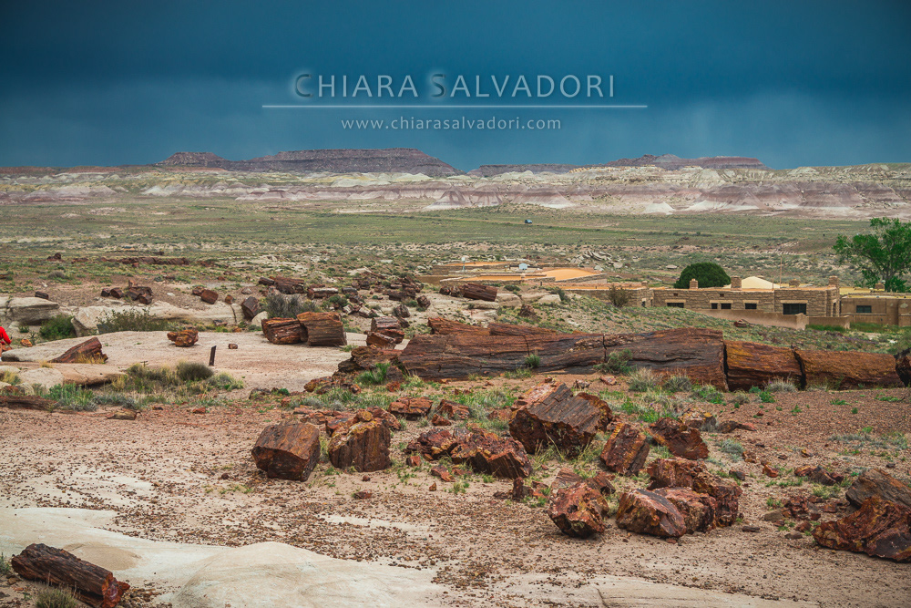 Petrified Forest National Park