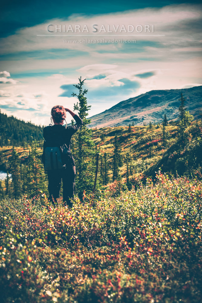Denali National Park