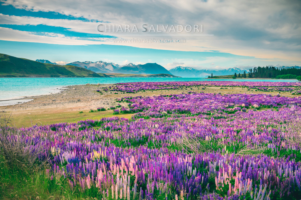 Lake Tekapo