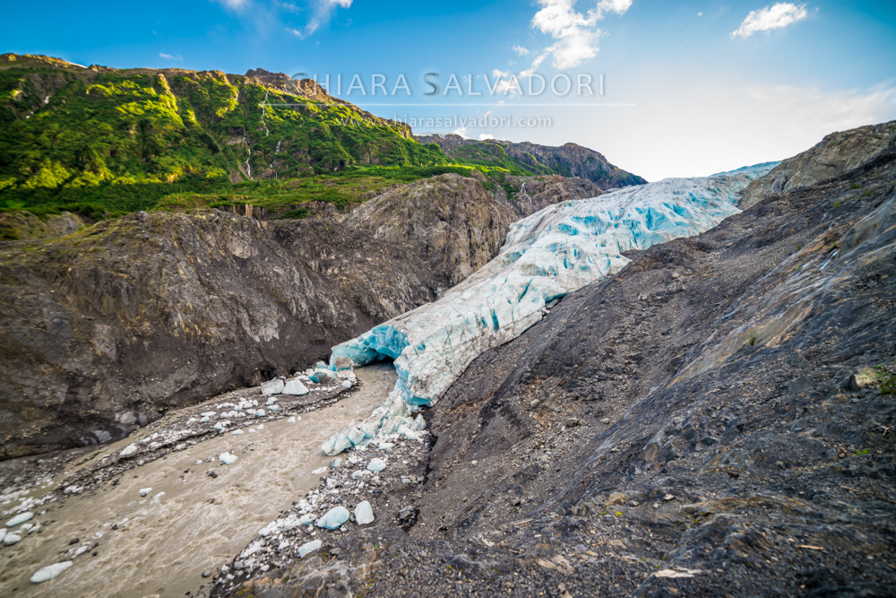 Exit Glacier