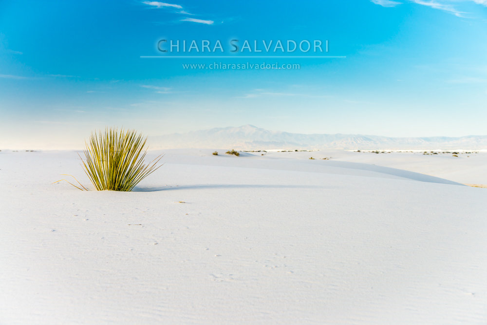 White Sands National Park