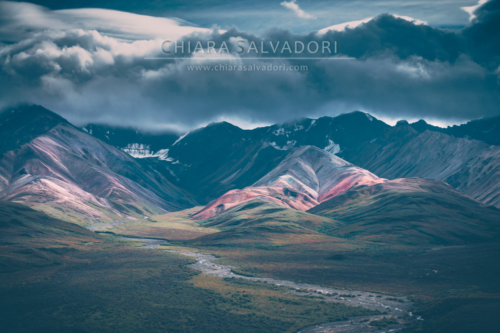 Denali National Park