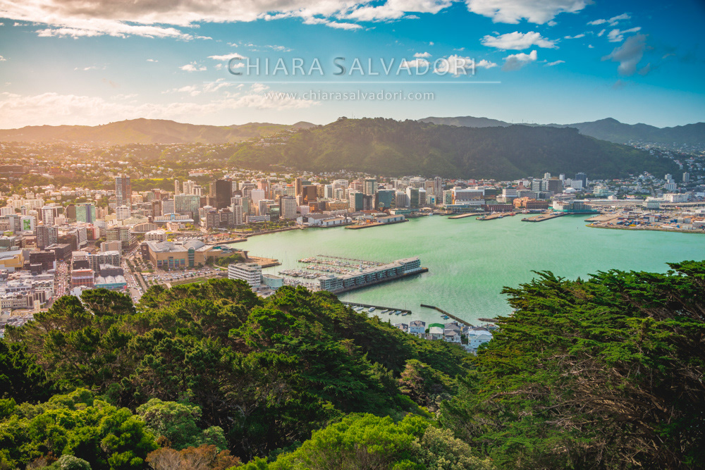 Wellington