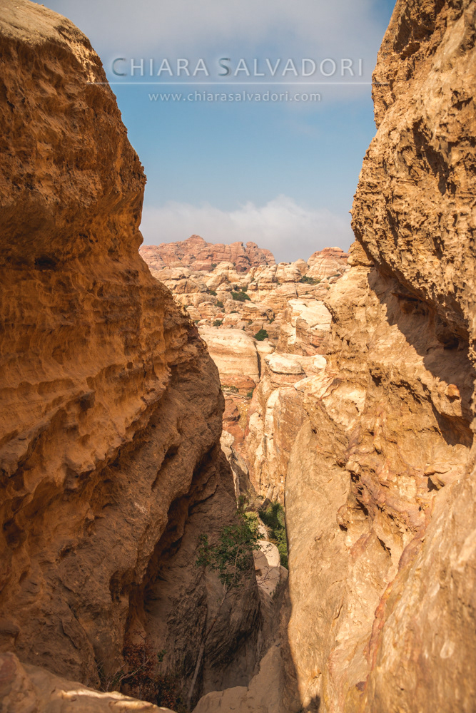 Dana Biosphere Reserve