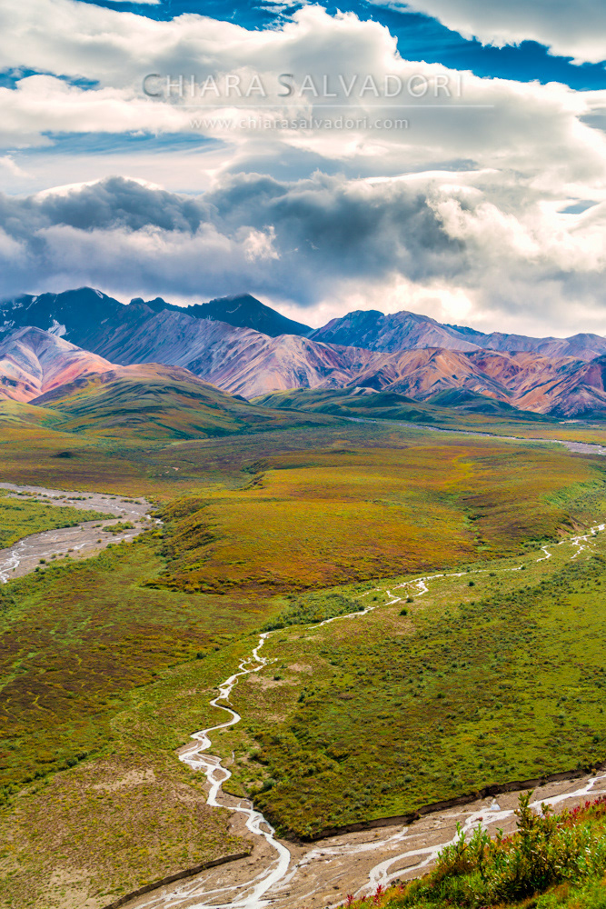 Denali National Park