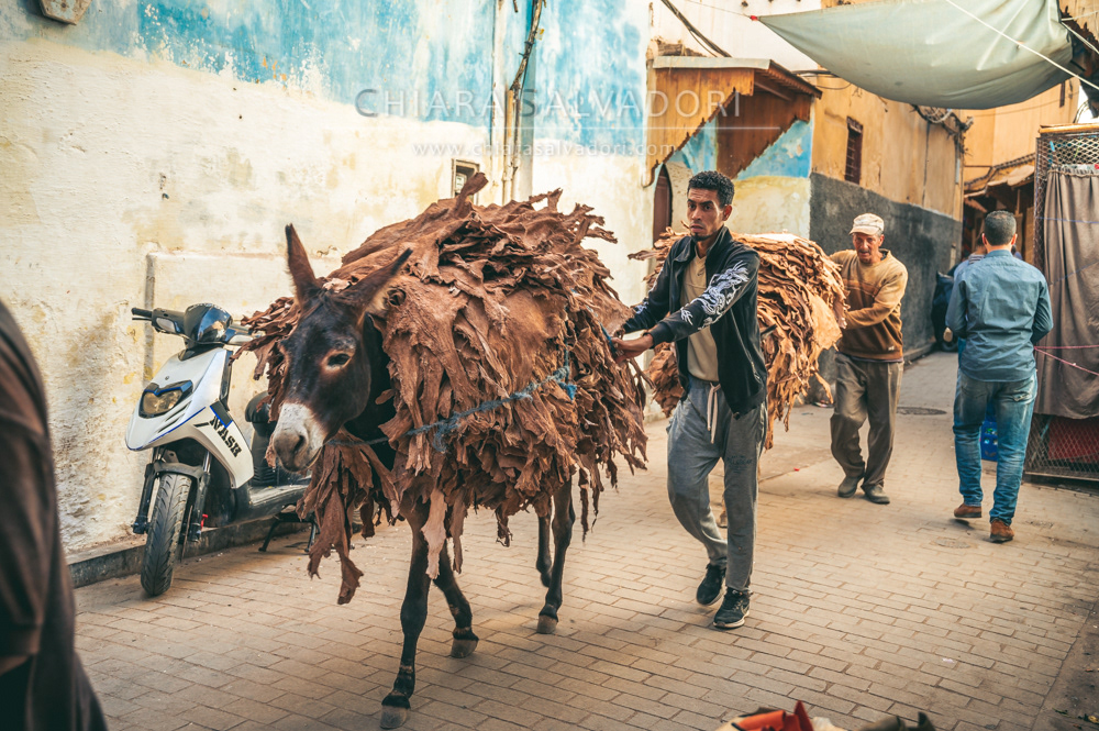 Fes el Bali