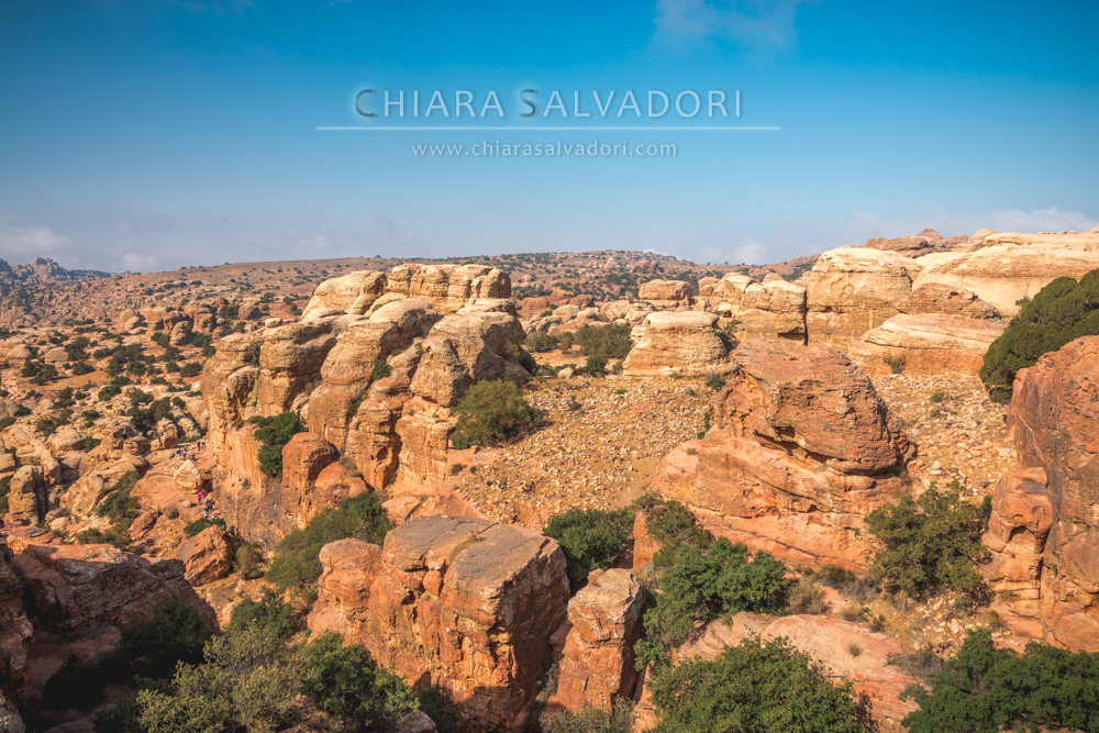 Dana Biosphere Reserve
