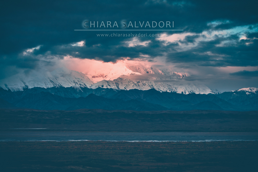 Denali National Park