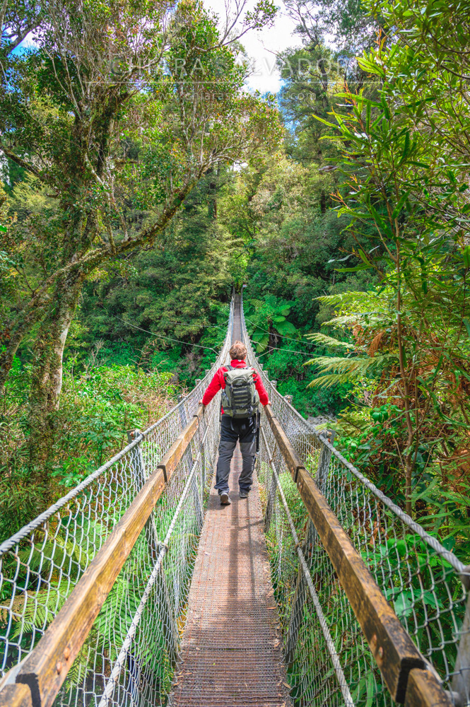 Kaitoke Regional Park