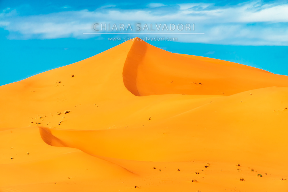 Sahara Desert