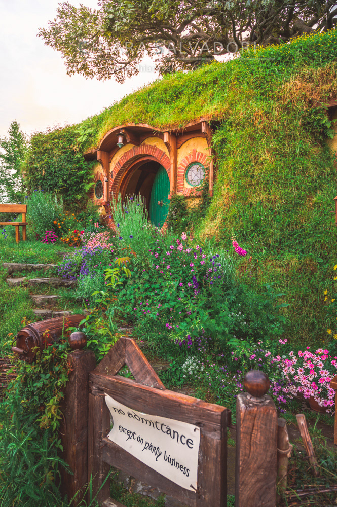 Hobbiton Movie Set