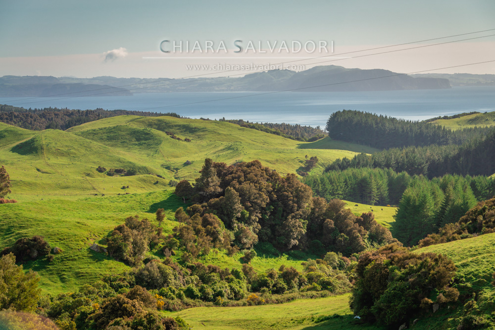 Taupo Lake