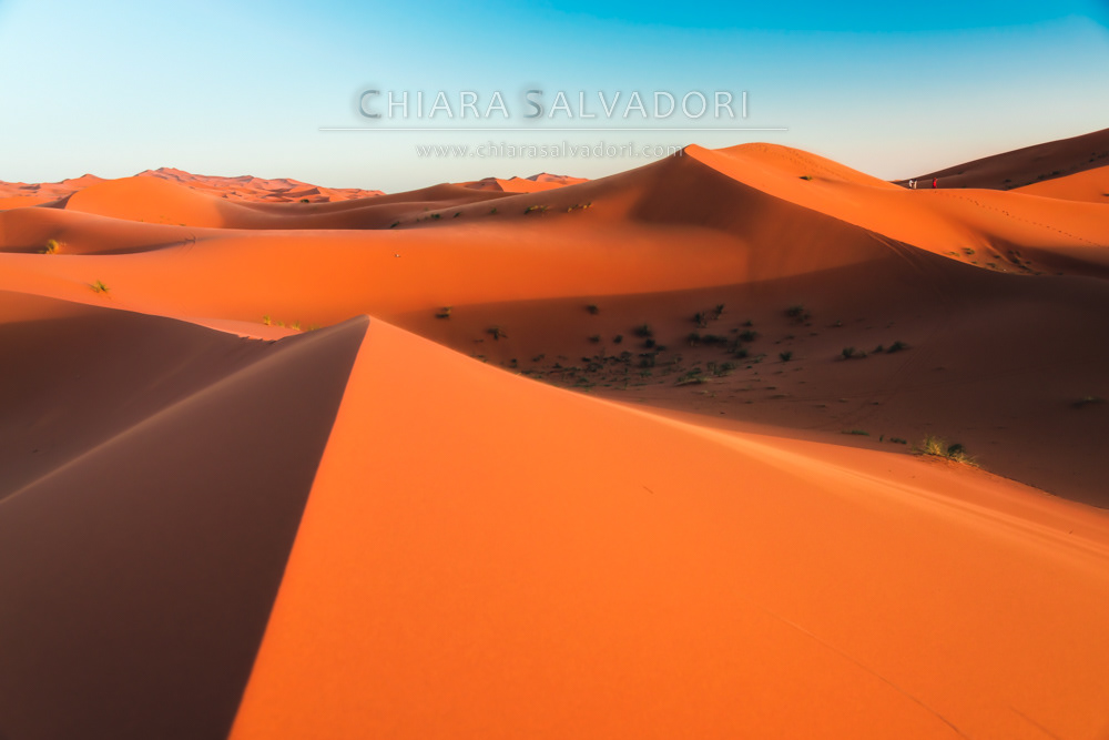 Sahara Desert