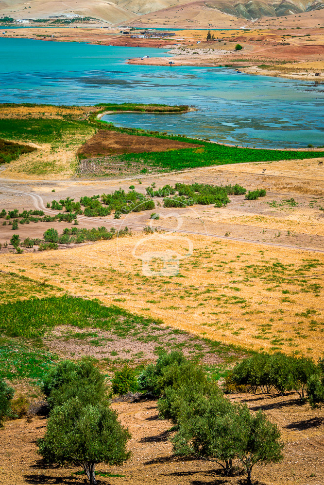 Shahid Lake