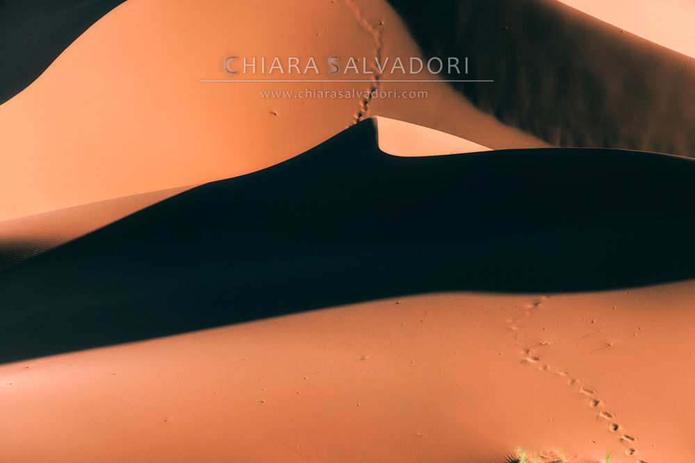 Sahara Desert