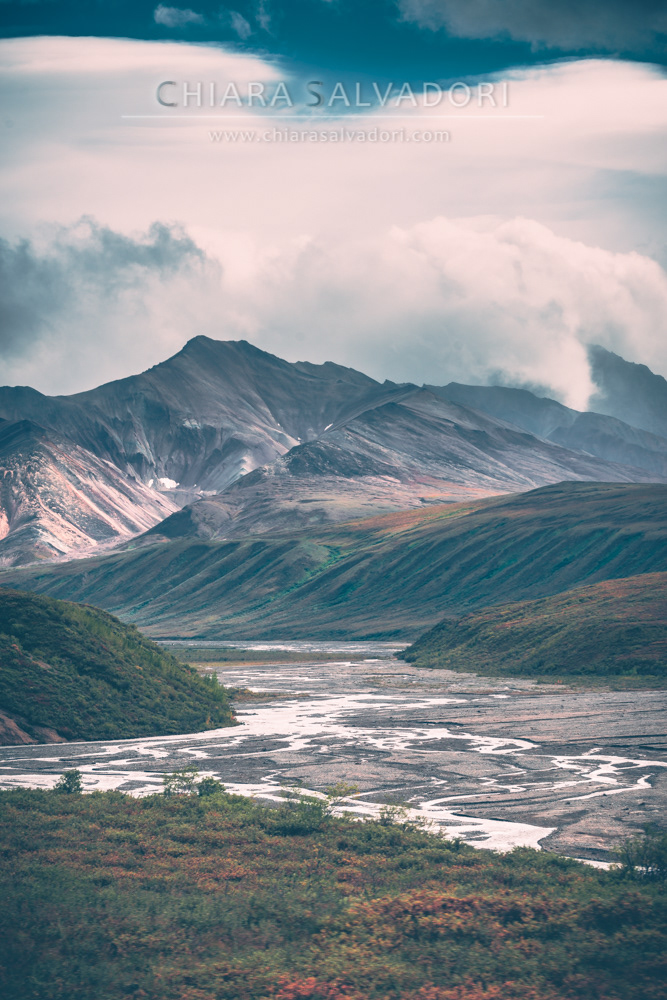 Denali National Park