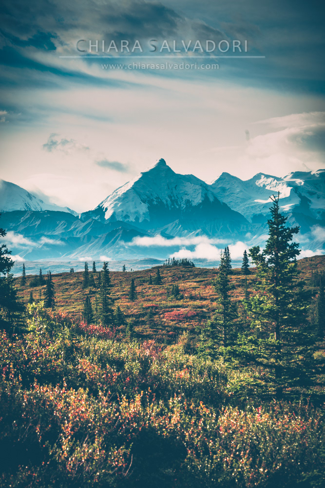 Denali National Park
