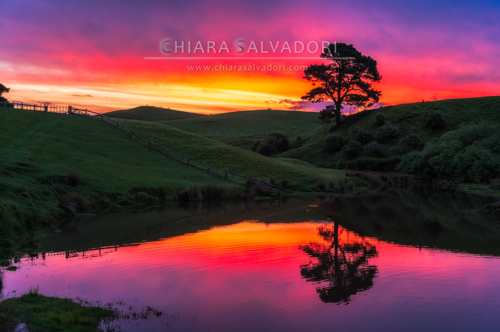 Hobbiton Movie Set