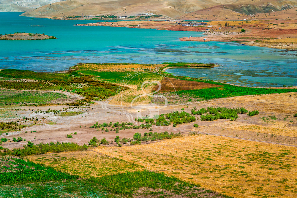 Shahid Lake