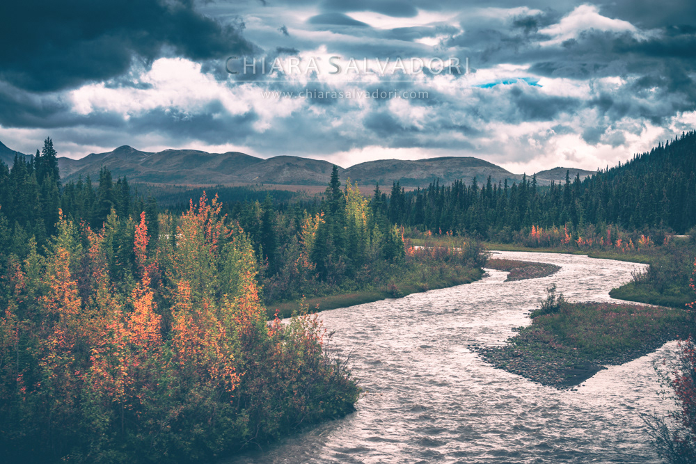 Denali National Park
