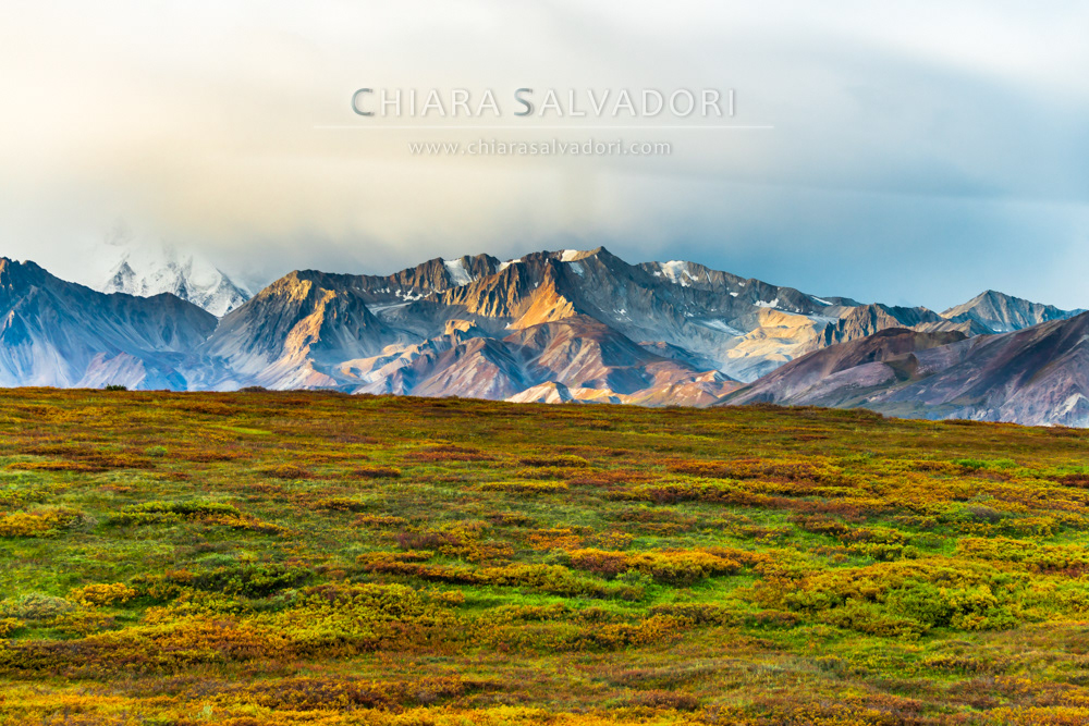 Denali National Park