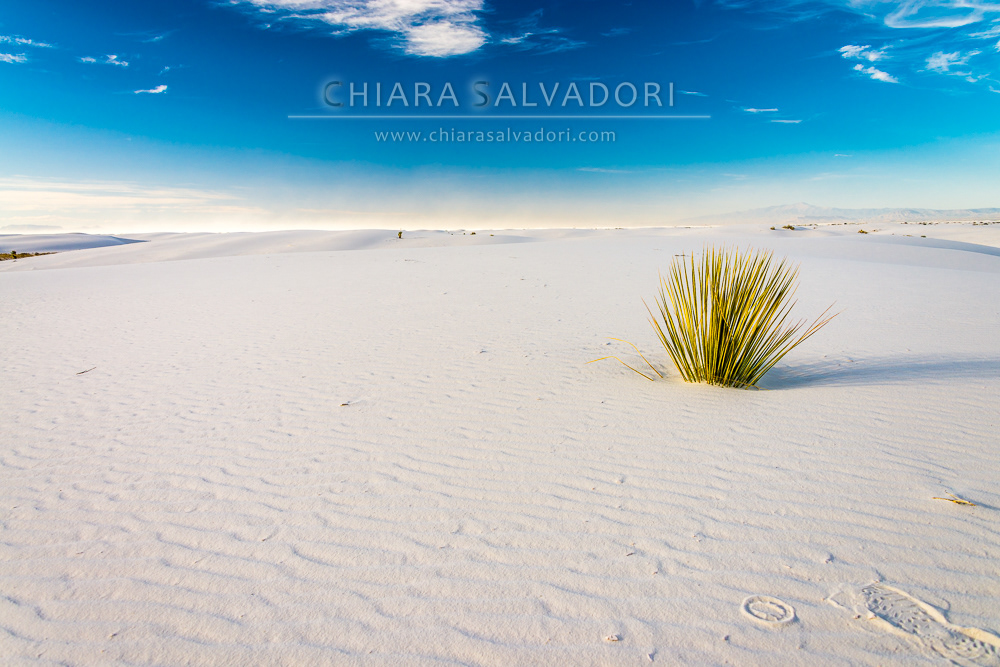 White Sands National Park