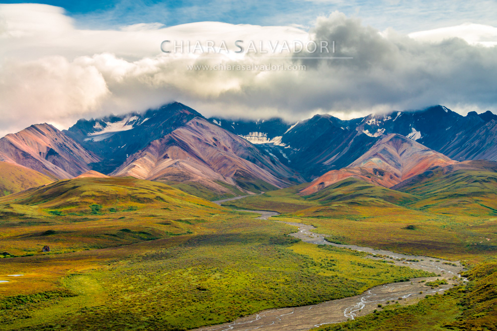Denali National Park
