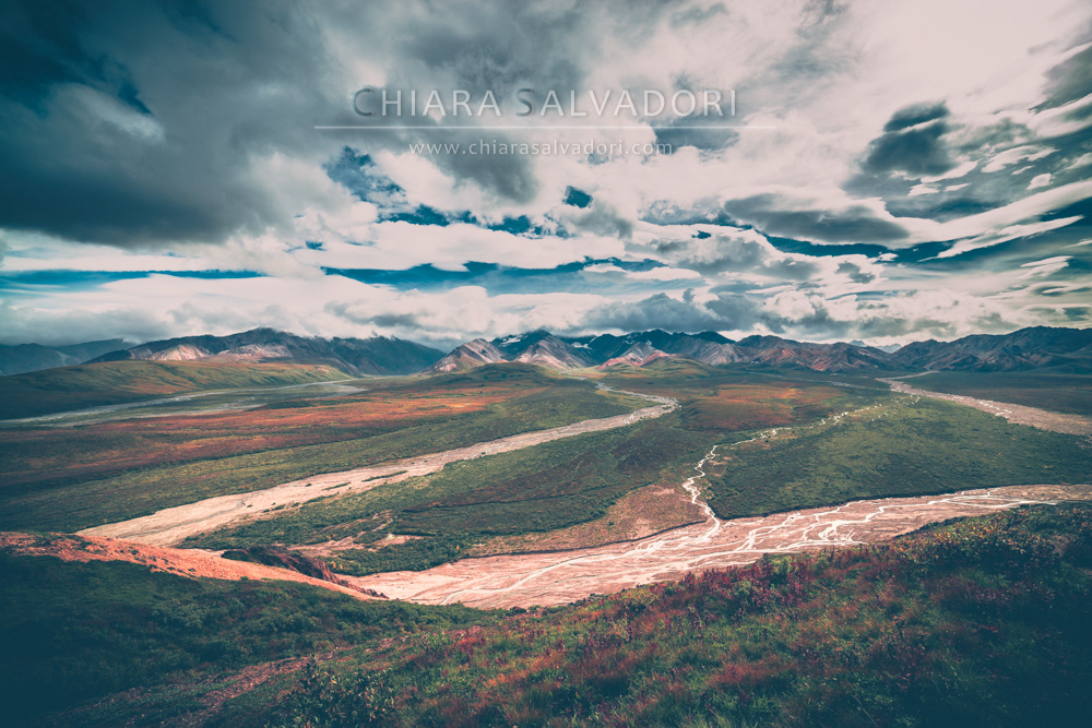 Denali National Park