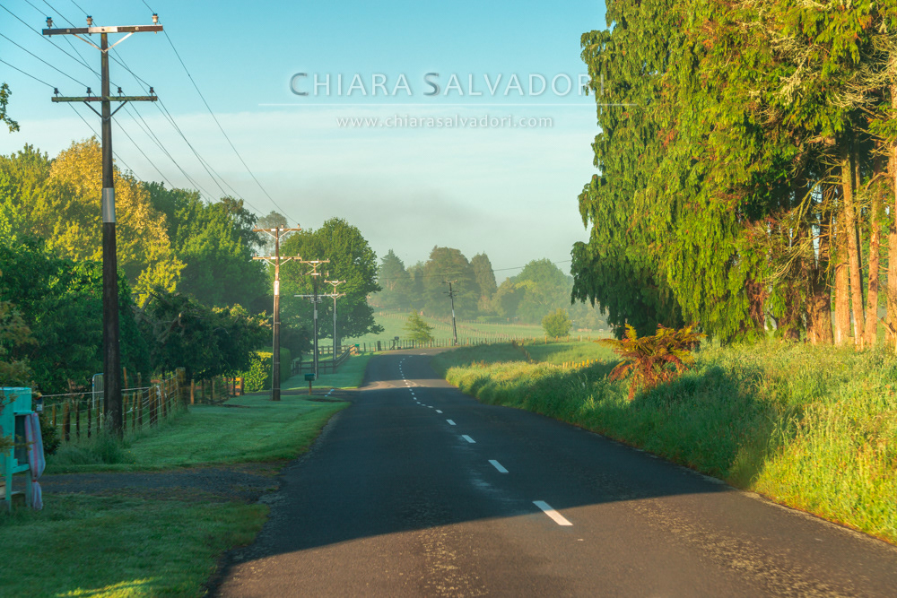 Waitomo On the Road