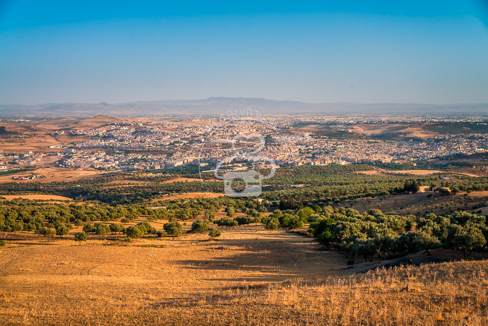 Fès