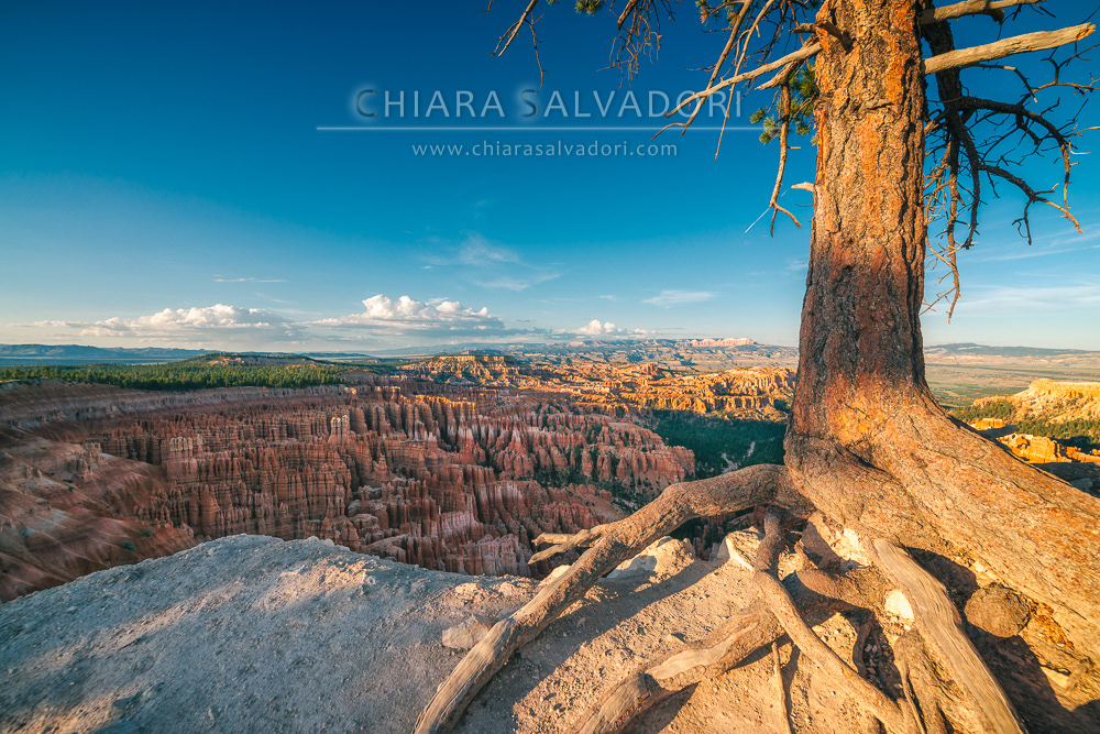 Bryce Canyon National Park