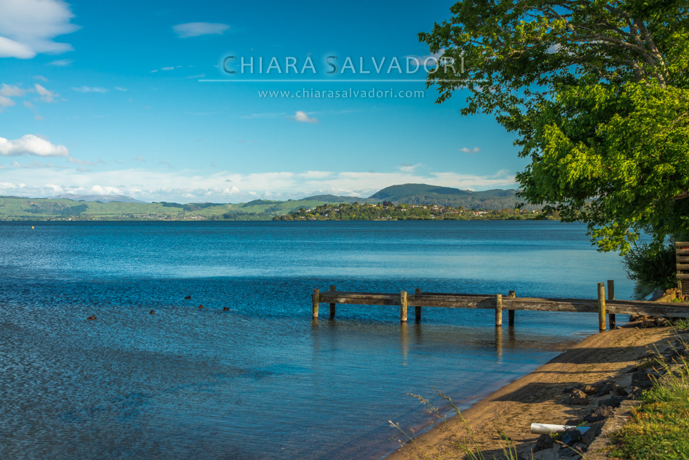 Lake Rotorua
