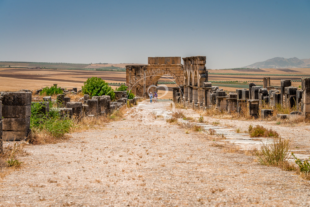 Volubilis