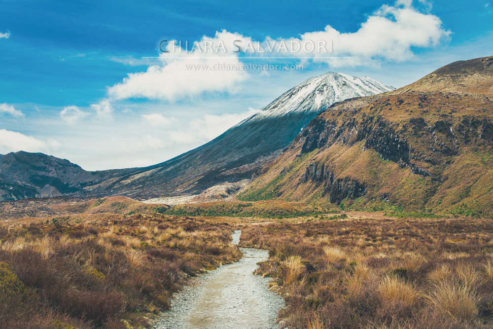 Tongariro National Park