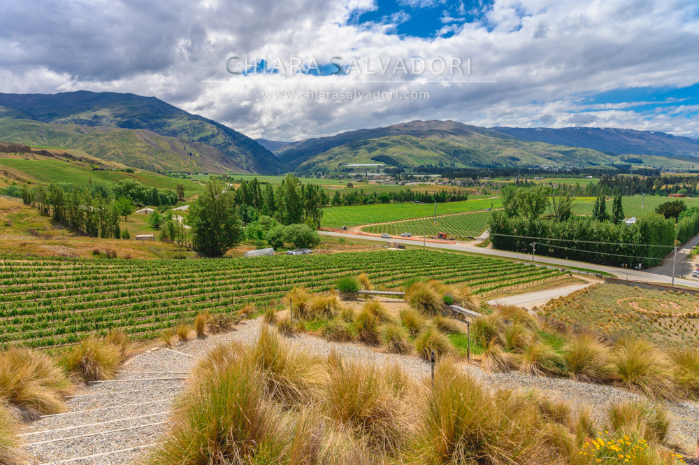 Mt Difficulty Wines